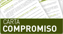 CARTA COMPROMISO INSTITUCIONAL HUSLL